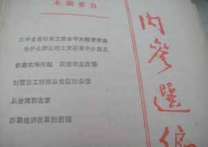 《思想理論內參》