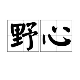 野心[貶義詞]