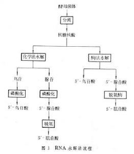 核苷酸類調味料