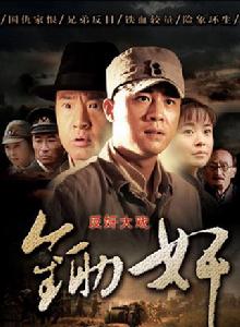 鋤奸[2010年杜淳主演電視劇]