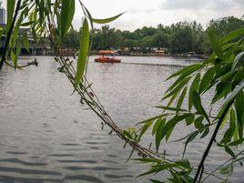 清水河公園