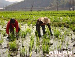 三都鄉[浙江省松陽縣下轄鄉]