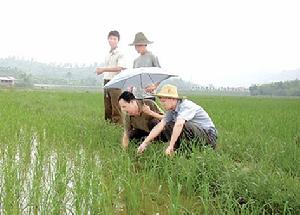 三峽新移民[三峽工程壩區移民]