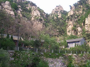 禪林寺古銀杏風景園