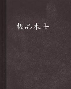 極品術士[起點中文網作者野歌作品]