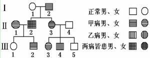 系譜圖