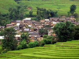 苗寨村[雲南省紅河州元陽縣黃茅嶺鄉苗寨村]