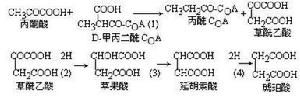 丙酸發酵