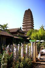 薦福寺[西安市薦福寺]