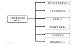 微生物生物量碳