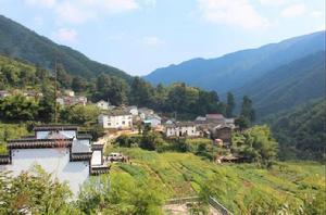 五里莊村[山東省青島市平度古峴鎮下轄村]