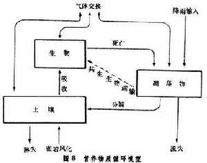 生物地球化學循環