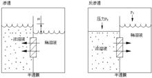 反滲透原理圖