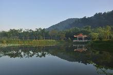 東莞塘廈 大屏嶂森林公園