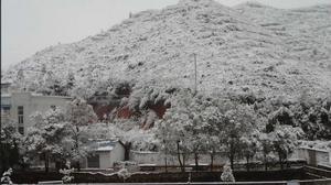 校園雪景