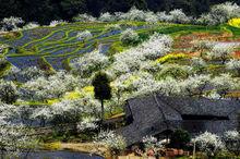 宜賓市紅岩山風景區