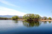 翠湖濕地公園