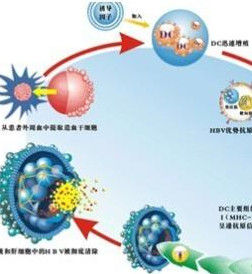 BA細胞免疫治療