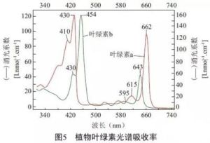 視見函式