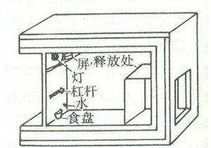 聯想學習理論