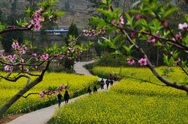 中崗鄉[四川仁壽縣中崗鄉]