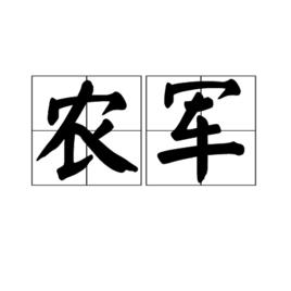 農軍[詞語解釋]