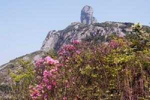 花岙島