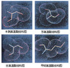 大分子物質