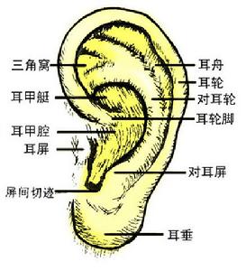 絕經期症候群