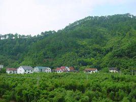 張莊村[山東省臨清市尚店鎮張莊村]