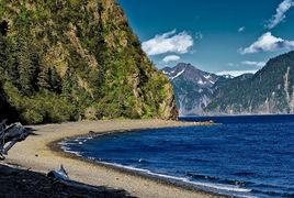 狐狸島[美國基奈峽灣小島]