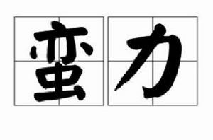 蠻力[漢語詞語]