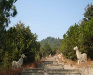 梯面山水旅遊鎮