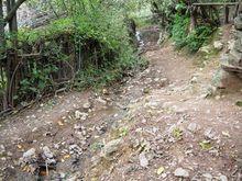 白雞山村村內道路