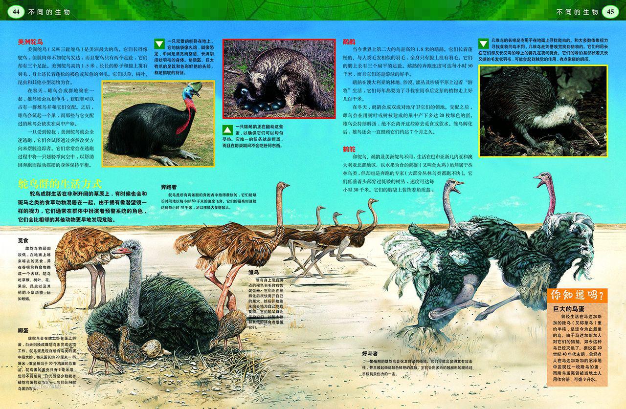 《發現之旅·不同的生物》內文