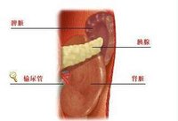 尿酸性腎病