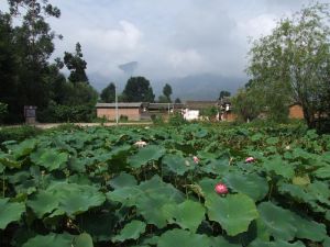 陳家登自然村