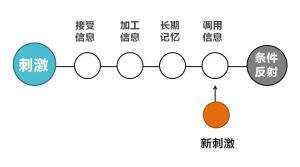 認知結構模式