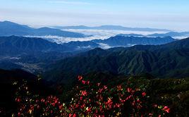 七星嶺[湖南省瀏陽市大圍山國家森林公園主峰]