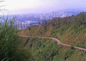 布心山郊野公園