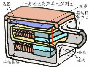 單元內部結構