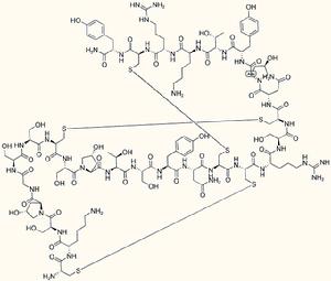 芋螺毒素分子結構