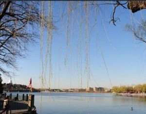 藍天下的北海公園