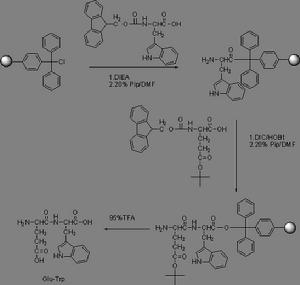 （圖）多肽固相合成法