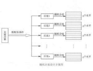 單向區組