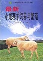 最新小尾寒羊飼養與繁殖