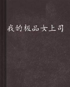 我的極品女上司[異術超能小說]