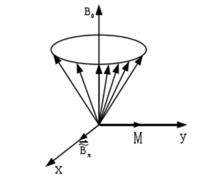 1.氫磁化強度矢量繞地磁場進動
