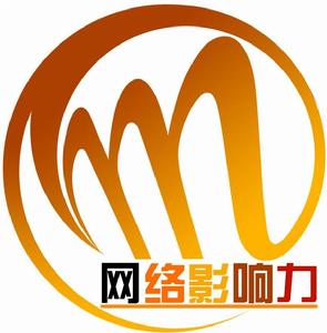中國電視網路影響力報告