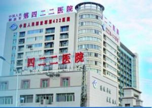 中國人民解放軍第四二二醫院
